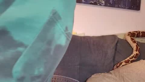 julia_official online show from 7, 11, 2025