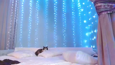 Snapshot of julia_renard chatting on 29, 11, 2025 Julia online show from 29, 11, 2025