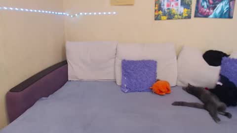 Jul online show from 12, 9, 2025