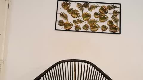 Juli online show from 10, 10, 2025