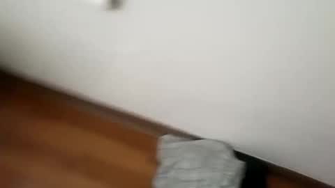 Snapshot of junior69king chatting on 1, 1, 2025 manolito online show from 1, 1, 2025