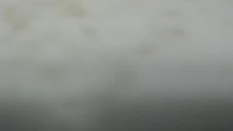 Dave online show from 20, 10, 2025