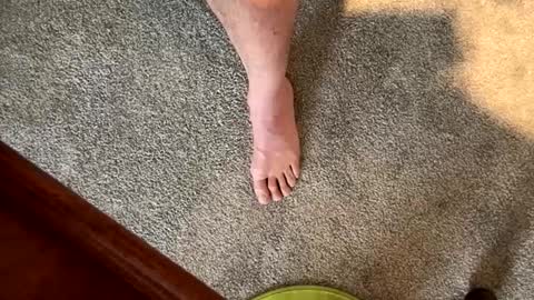 Snapshot of justanudedude chatting on 5, 12, 2024 justanudedude online show from 5, 12, 2024