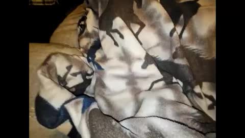 Snapshot of justswack chatting on 7, 12, 2024 justswack online show from 7, 12, 2024