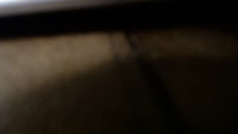 Snapshot of jwb9999 chatting on 6, 12, 2024 jwb9999 online show from 6, 12, 2024