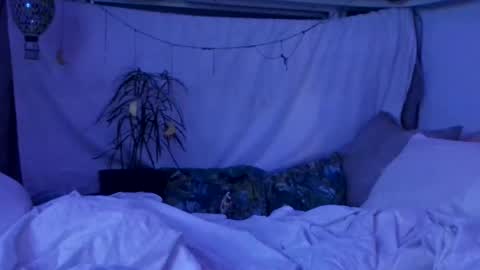 jwolf11851725 online show from 29, 10, 2025