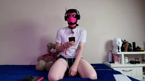 Snapshot of k9_goodboy chatting on 15, 6, 2026 Alex online show from 15, 6, 2026