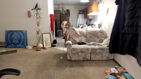 Snapshot of kaiku77 chatting on 30, 11, 2025 Kaiku77 online show from 30, 11, 2025