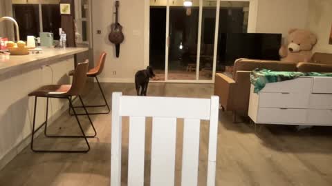 Kailee Smile online show from 27, 9, 2025