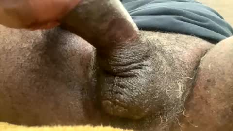 Snookie online show from 24, 1, 2025