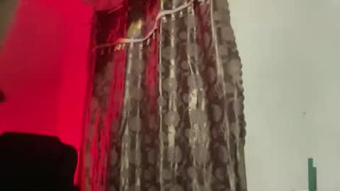 Majesty online show from 20, 11, 2025