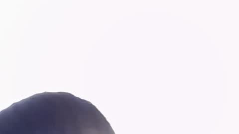 Help me with rate thanks  online show from 22, 11, 2025