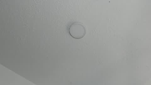 love meeee online show from 16, 1, 2025