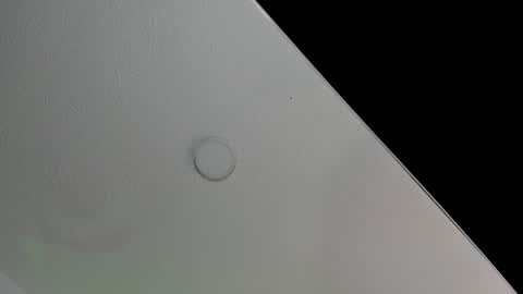 love meeee online show from 8, 2, 2025