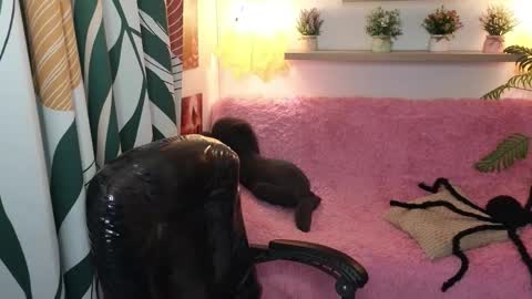 kathie_lozada online show from 31, 10, 2025