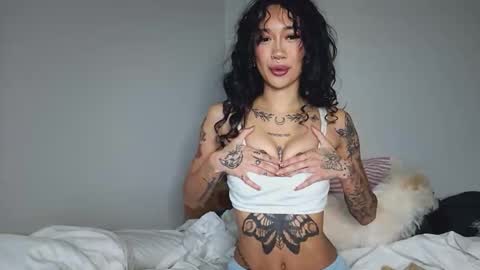 katiecai online show from 9, 4, 2026