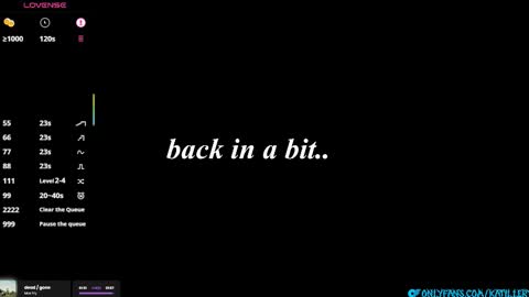 Snapshot of katillery chatting on 15, 2, 2026 Katie online show from 15, 2, 2026