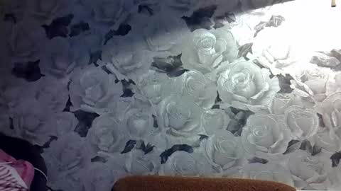 Snapshot of katte_light chatting on 19, 5, 2026 katte light online show from 19, 5, 2026