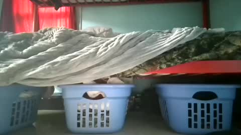 keegang34 online show from 20, 3, 2026