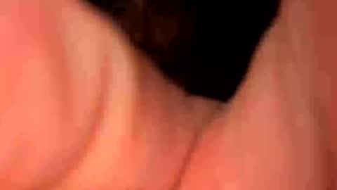 keepquietj online show from 20, 1, 2025