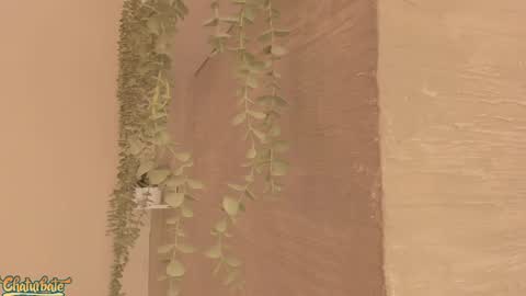 keirahartz online show from 16, 4, 2026