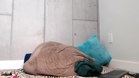 Snapshot of kelleylukelikes chatting on 1, 7, 2026 kelleylukelikes online show from 1, 7, 2026