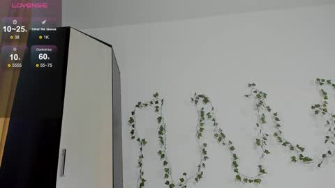 Snapshot of kelly_jacksoon chatting on 24, 12, 2024 Kelly online show from 24, 12, 2024