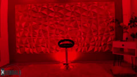 Kendall online show from 15, 12, 2024