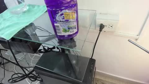 Kendra London online show from 7, 2, 2026