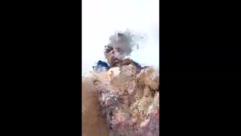 kenzo6140 online show from 12, 4, 2026