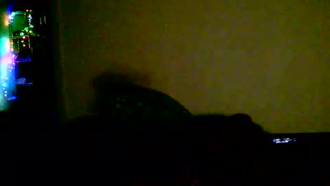Snapshot of kev_crew25 chatting on 18, 2, 2026 kev online show from 18, 2, 2026