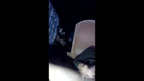 kevin_07279101 online show from 6, 1, 2026