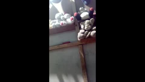 kevin_07279101 online show from 4, 3, 2026