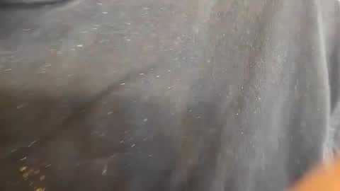 kevinevans448 online show from 9, 9, 2025