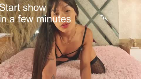 kimhilton online show from 2, 4, 2026