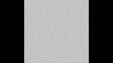 WildKings online show from 13, 1, 2026