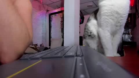 Melany online show from 1, 2, 2025