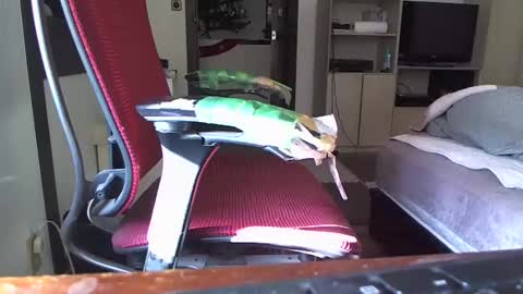 kinchan069 online show from 26, 12, 2024