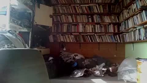 Snapshot of kindhate01 chatting on 13, 2, 2026 kindhate01 online show from 13, 2, 2026