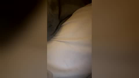 Snapshot of kingbbc6547 chatting on 11, 2, 2026 kingbbc6547 online show from 11, 2, 2026