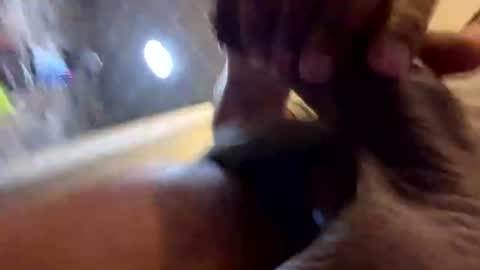 Snapshot of kingshyster chatting on 20, 7, 2026 kingshyster online show from 20, 7, 2026