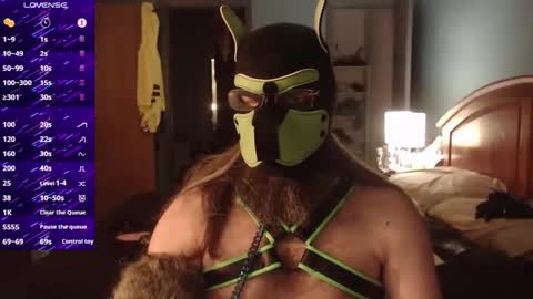 kinkywolf87 online show from 16, 10, 2025