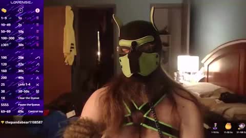 kinkywolf87 online show from 19, 10, 2025