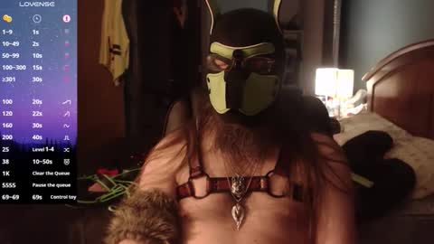 kinkywolf87 online show from 9, 4, 2026