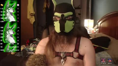 Snapshot of kinkywolf87 chatting on 6, 7, 2026 kinkywolf87 online show from 6, 7, 2026
