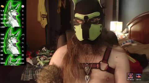 Snapshot of kinkywolf87 chatting on 10, 7, 2026 kinkywolf87 online show from 10, 7, 2026