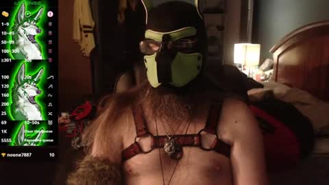 Snapshot of kinkywolf87 chatting on 24, 7, 2026 kinkywolf87 online show from 24, 7, 2026
