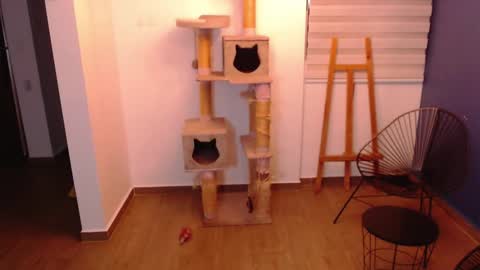 kintsugi online show from 7, 11, 2025