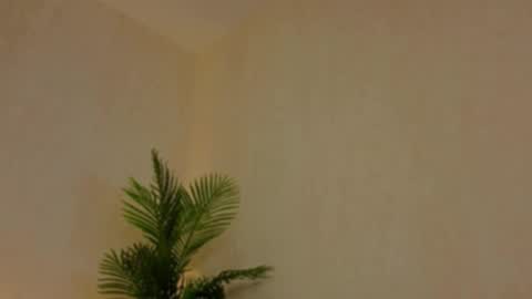 kirabesser online show from 27, 2, 2026