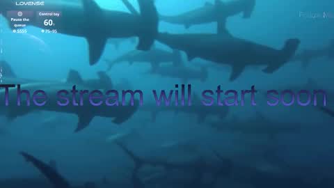 Kira online show from 17, 1, 2026